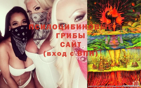 Альфа ПВП Алзамай