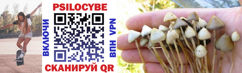 hydra ONION Каневская Псилоцибиновые грибы ЛСД